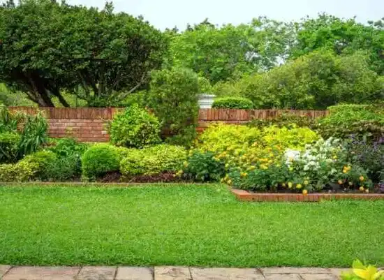 landscaping services Hardyville